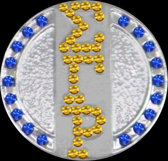 Sigma Gamma Rho 3 Letter Crystal Single Snap Button [Silver]