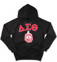 Big Boy Delta Sigma Theta Divine 9 S6 Ladies Pullover Hoodie [Black]