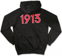 Big Boy Delta Sigma Theta Divine 9 S6 Ladies Pullover Hoodie [Black]