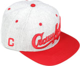 Big Boy Pittsburgh Crawfords S141 Mens Snapback Cap [Grey]