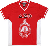 Big Boy Delta Sigma Theta Divine 9 S15 Womens Football Jersey [Red]