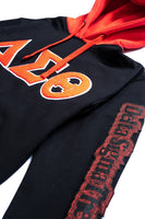 Legacy Tradition Delta Sigma Theta S1 Chenille Embroidered Hoodie [Black]