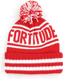 Big Boy Delta Sigma Theta Divine 9 S252 Womens Beanie With Ball [White]