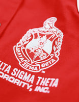 Big Boy Delta Sigma Theta Divine 9 S12 Racing Twill Jacket [Red]