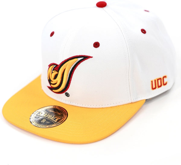 Big Boy District Of Columbia Firebirds S145 Mens Snapback Cap [White]